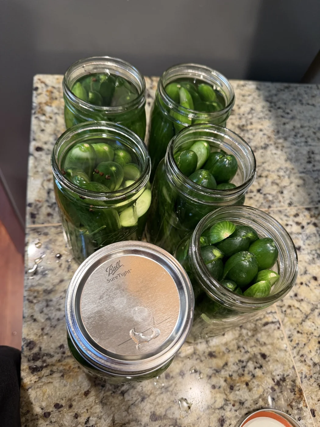 Overhead photo of six jars of homemade garlic dill pickles